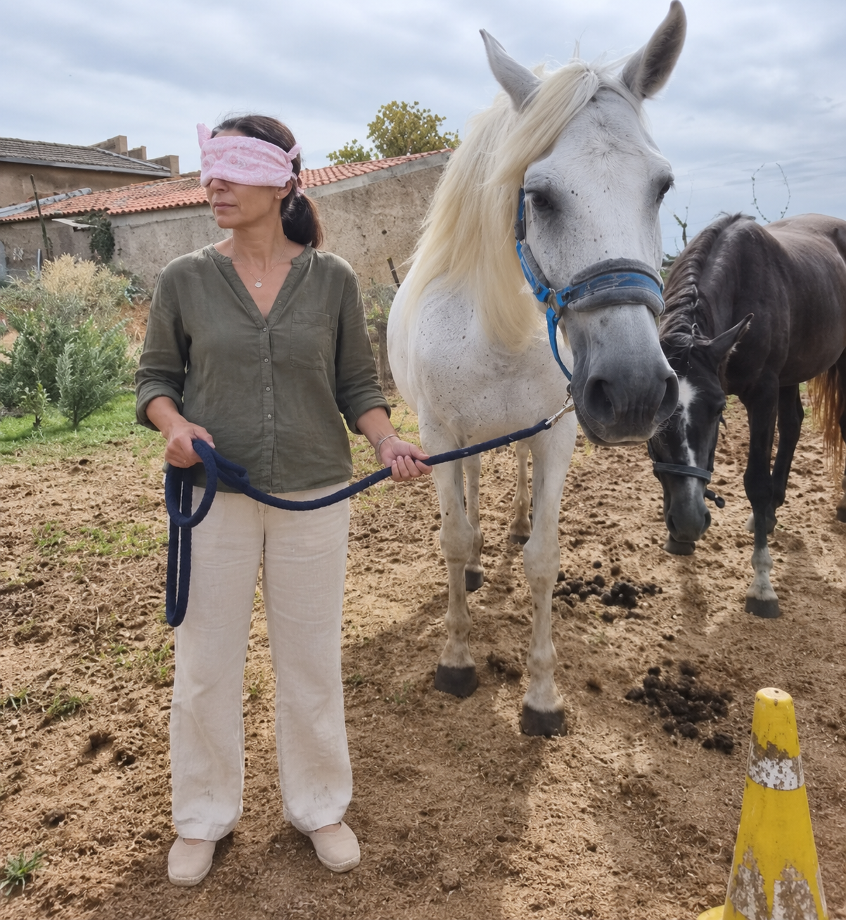 Participante con antifaz realizando una dinámica de confianza con un caballo